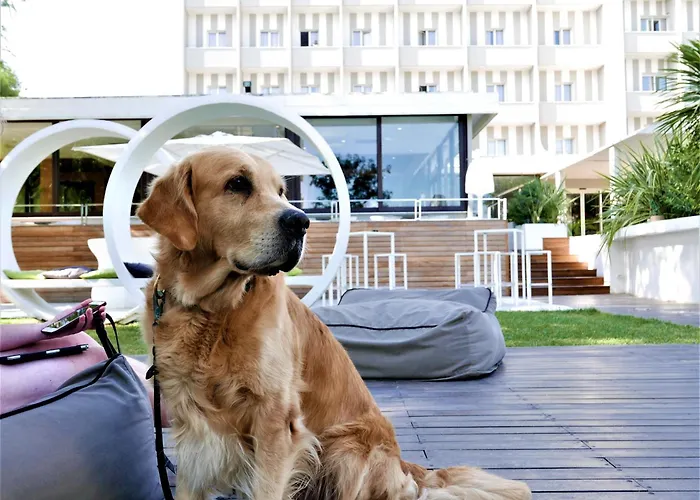 Oxygen Lifestyle Hotel