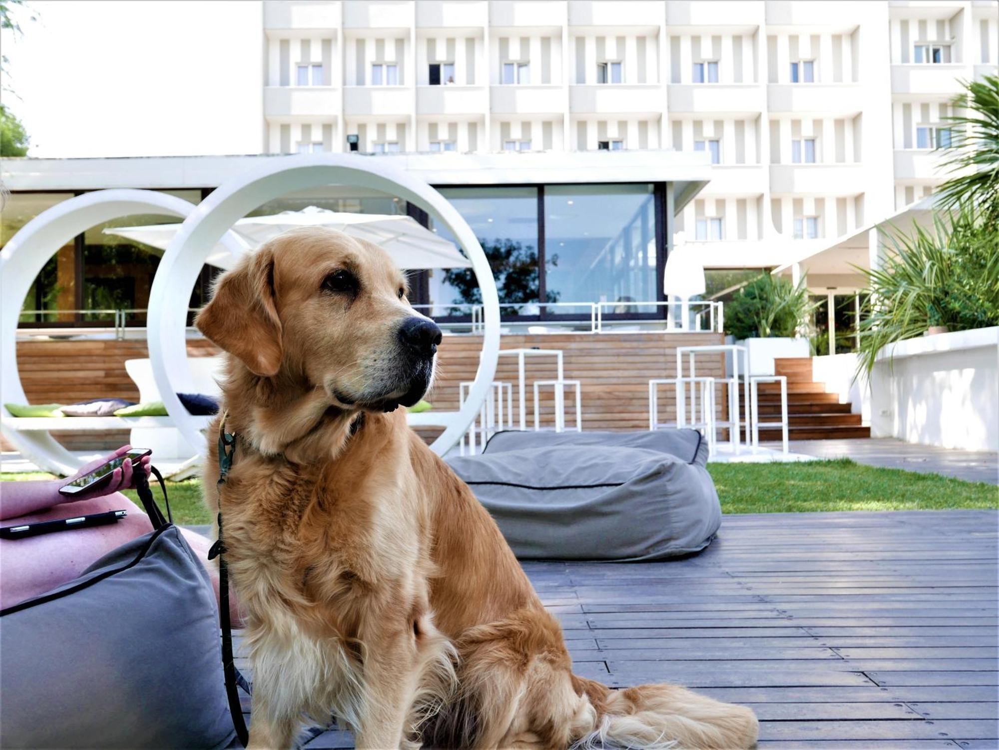 Hotel Oxygen Lifestyle 4*